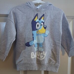 Kids Grey Hoodie